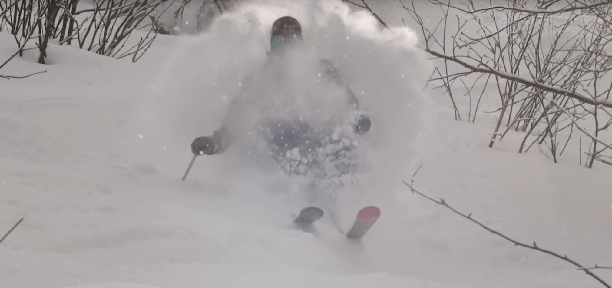 Jeremy Pancras, video, would you