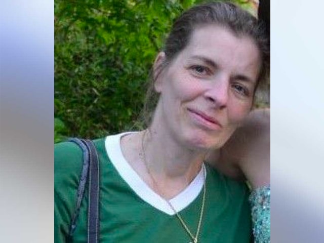 woman missing, smokey mountain,
