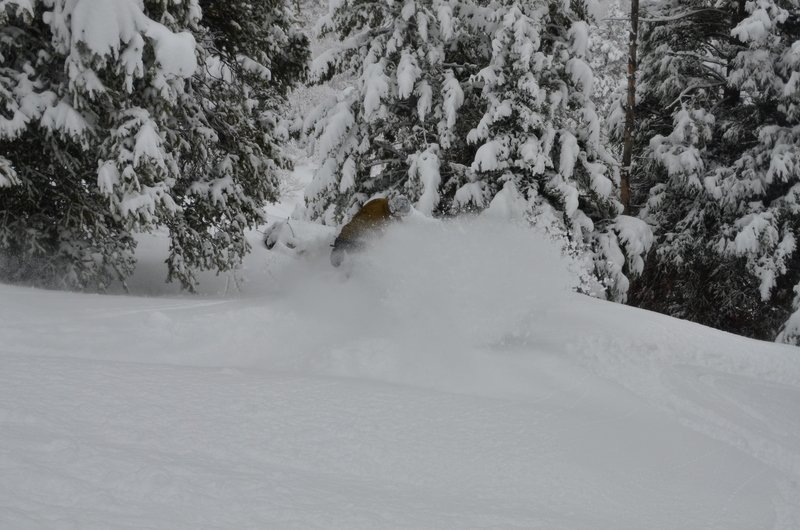 backcountry, ogden, ski