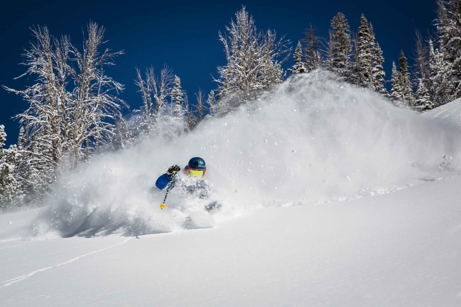 ikon pass, Jackson Hole, what's new, wyoming