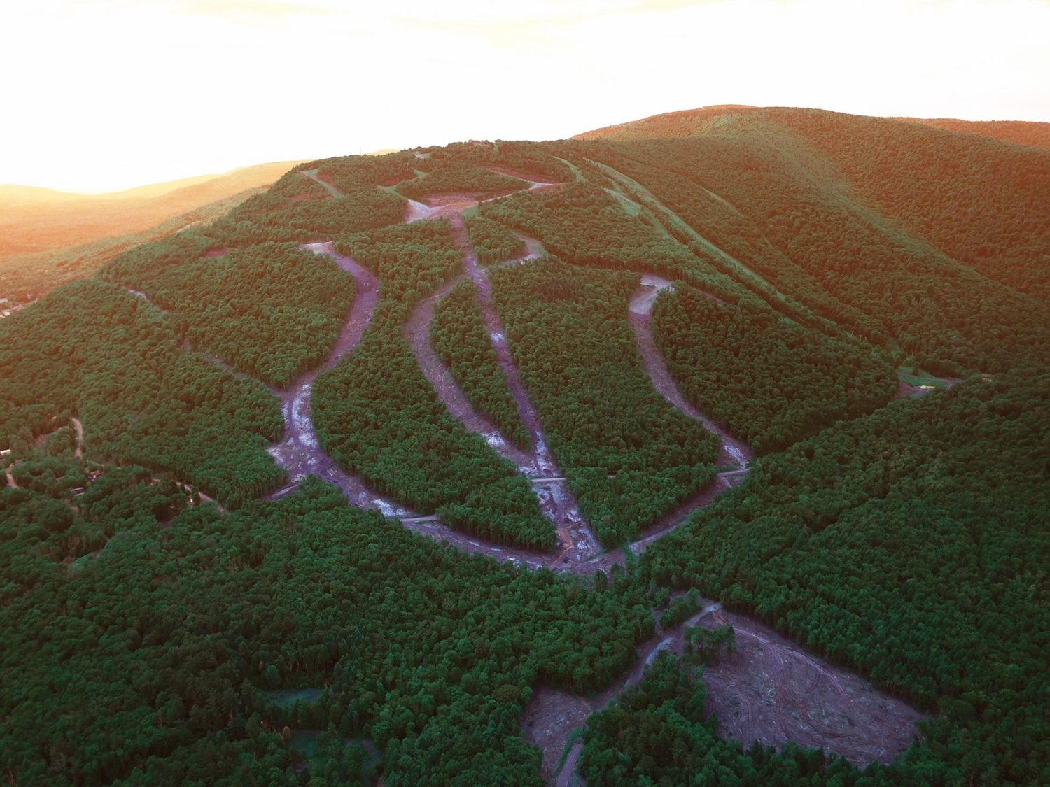 5 new trails, 4 new glades 