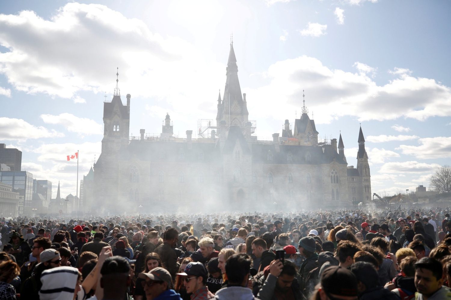 canada, marijuana, pot, weed, grass, green, legalize