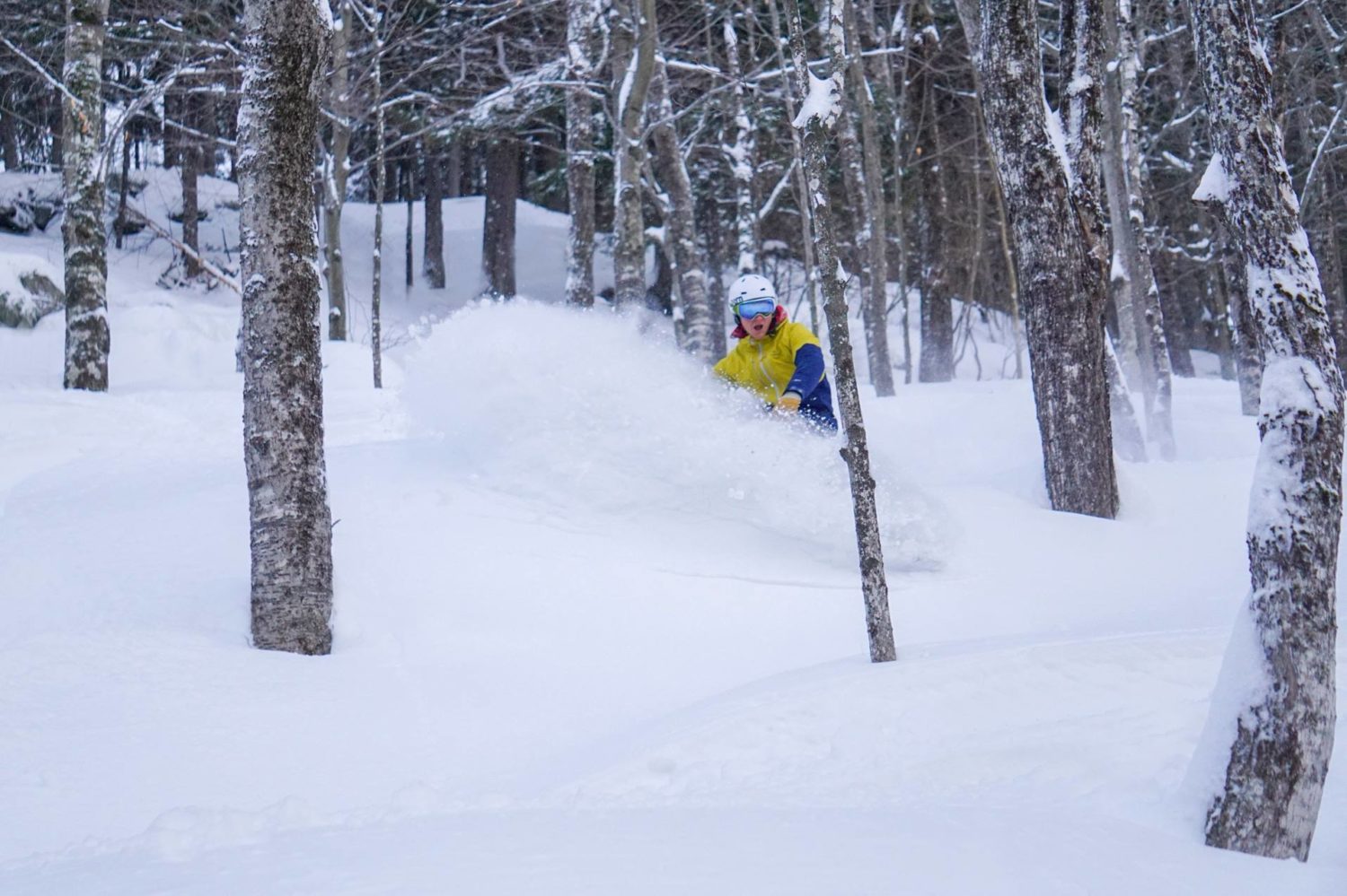 New England, Sunday river, ikon