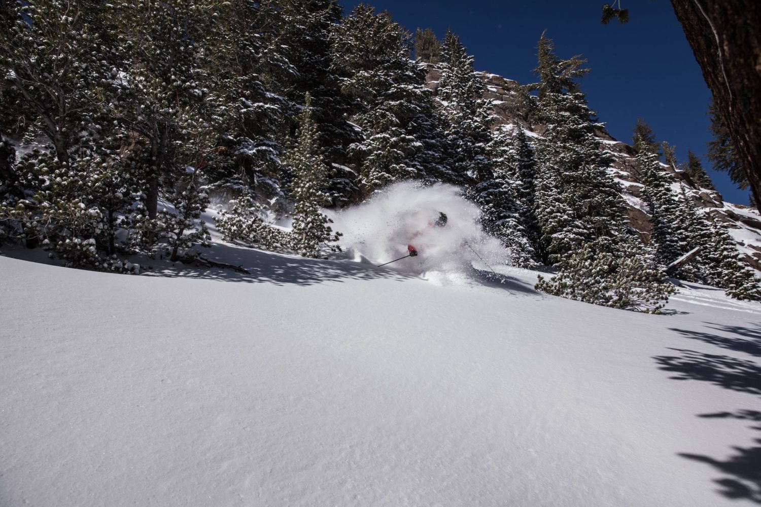 mammoth mountain, mammoth, california, ripping locals