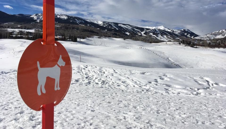 Sign with a picture of a dog - marks designated dog trail