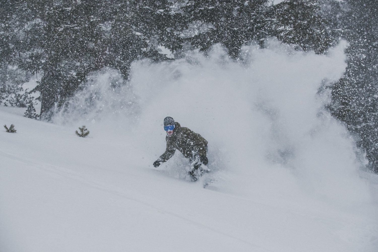 mammoth mountain, mammoth, california, ripping locals