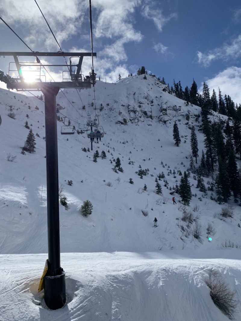 Early season condition report.