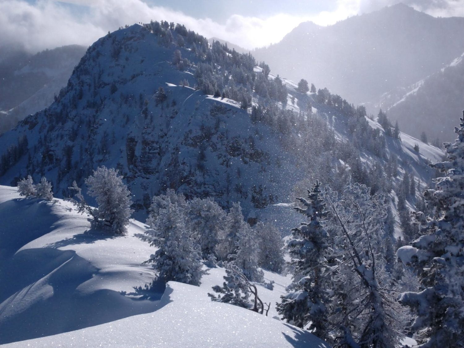 Wasatch powder crystals on a clear morning.