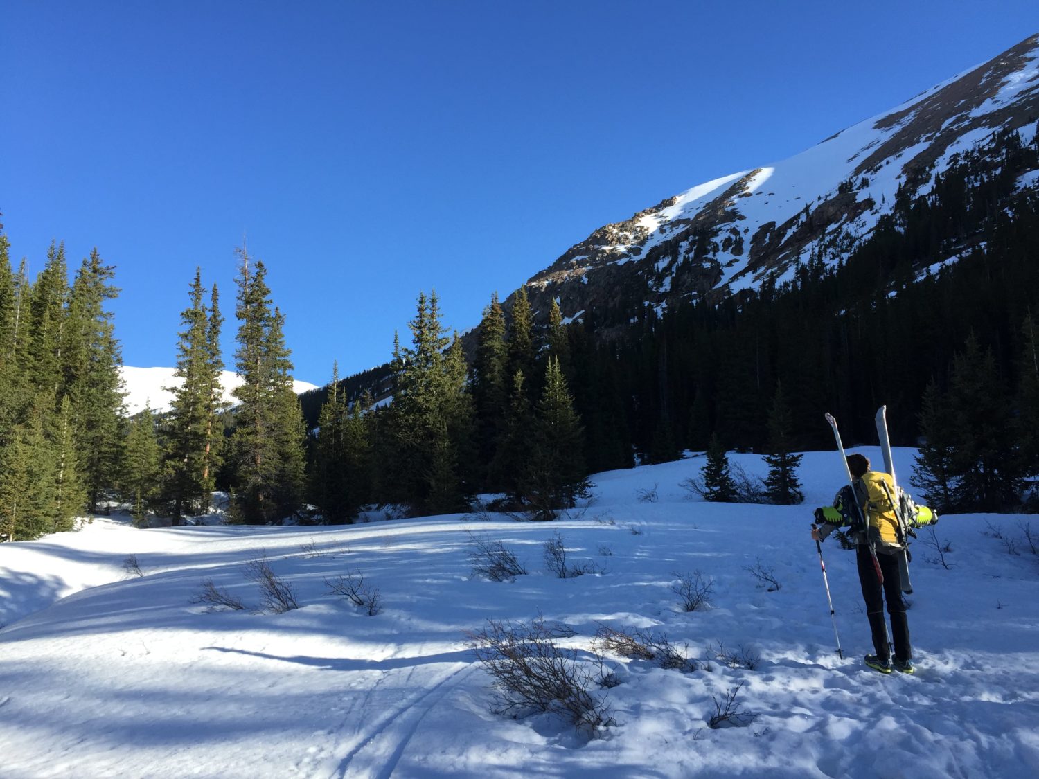 walking on snow