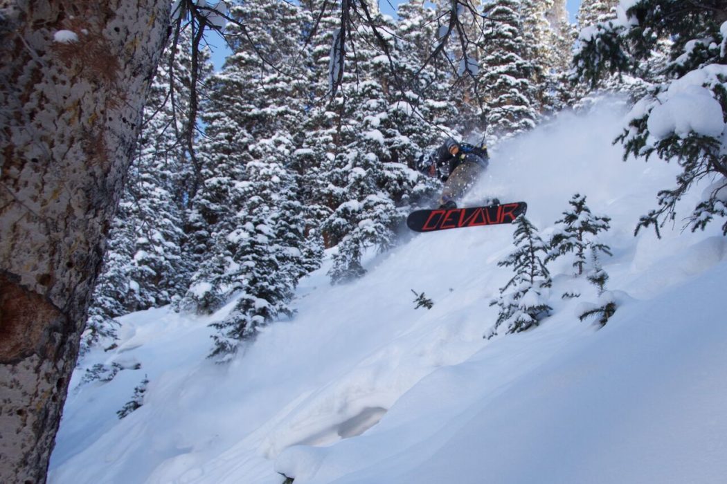 Tree skiing 