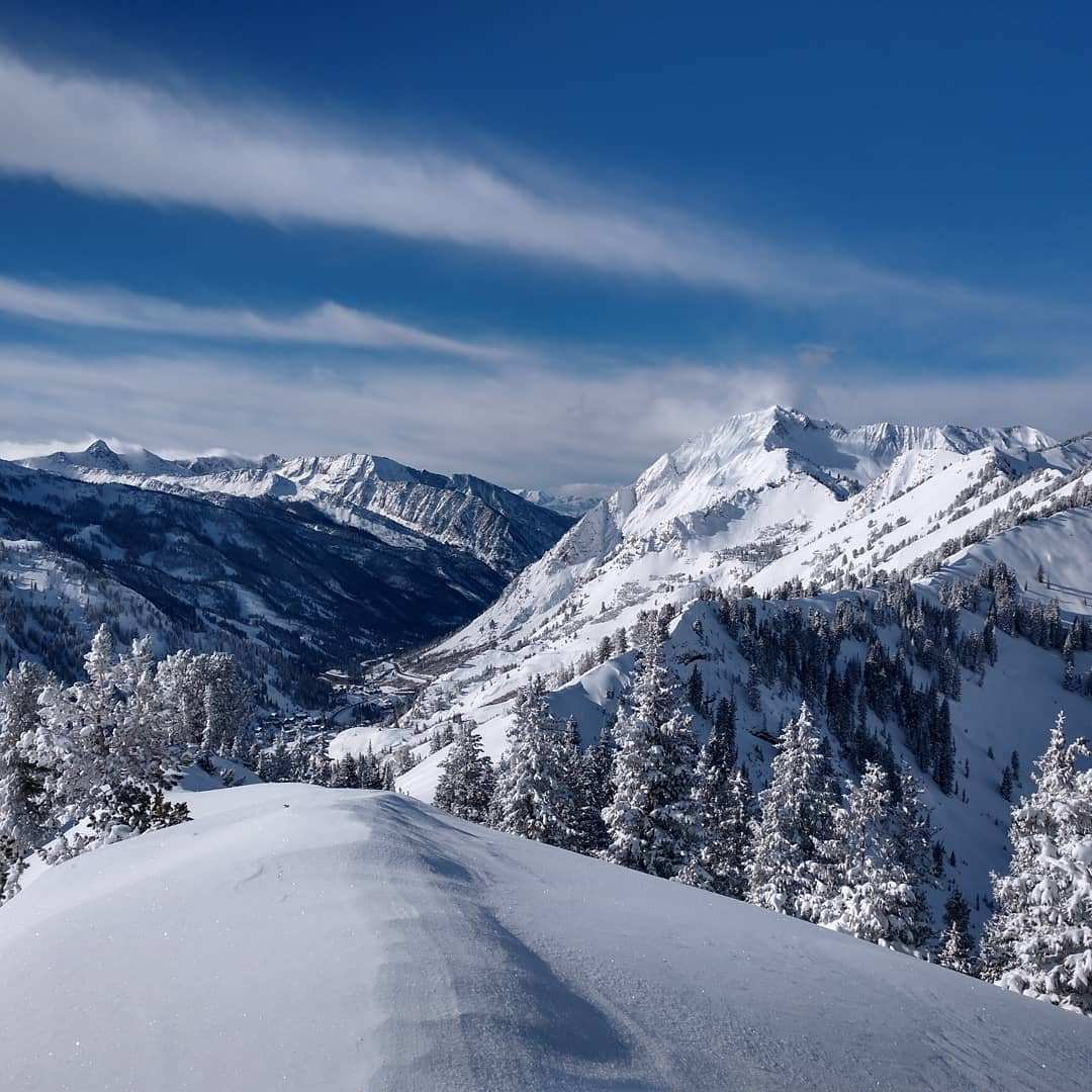 wasatch powder ski 