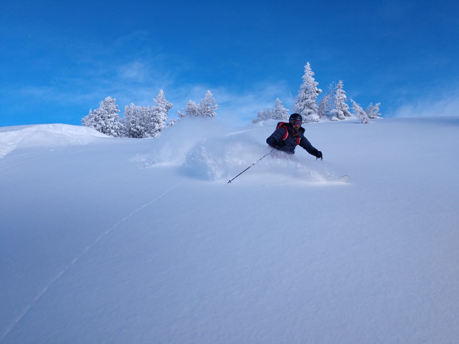 Wasatch Backcountry Ski Powder