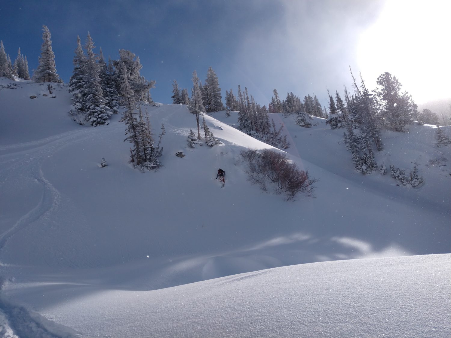 Wasatch cliff drop ski jump powder