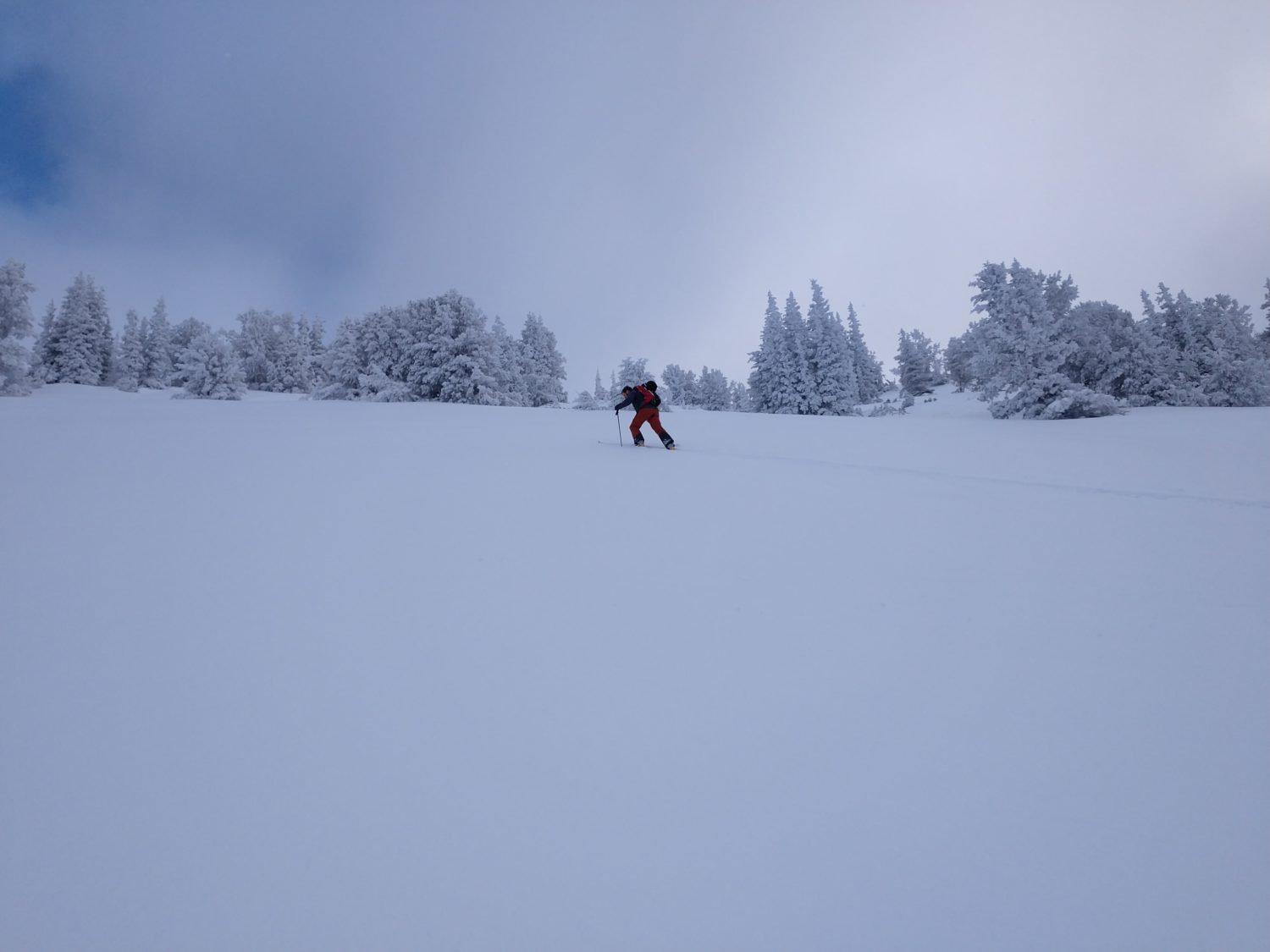 Wasatch Backcountry Skiing