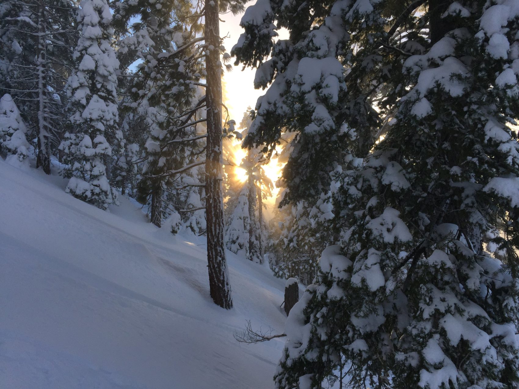 Lake Tahoe, backcountry, map