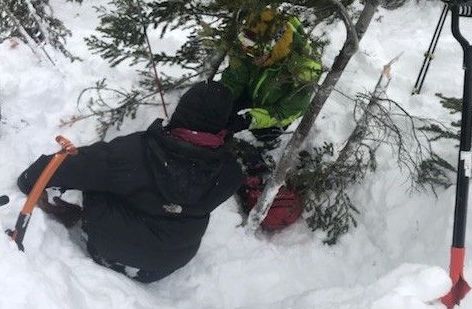 avalanche, canada