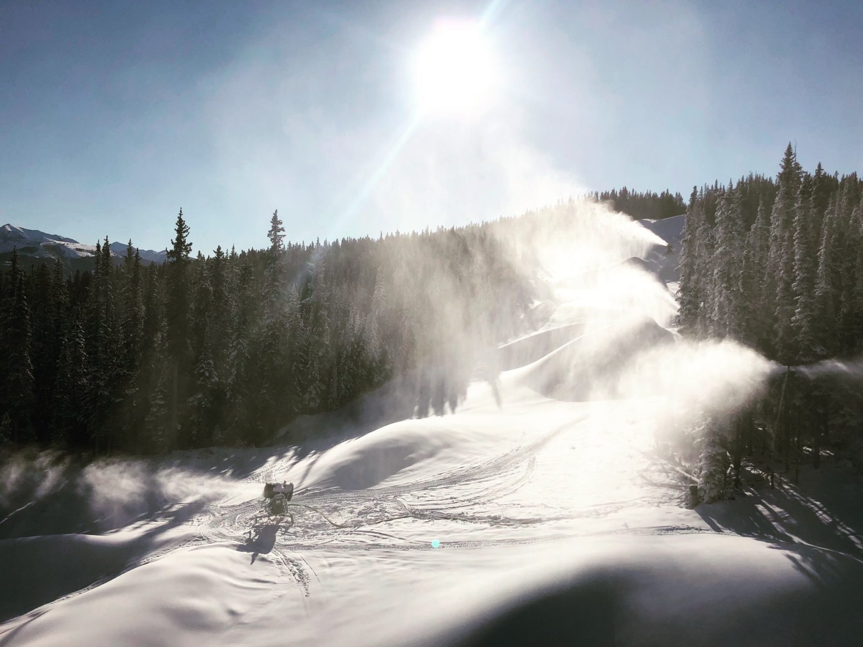 Huge wales at nakiska ski area