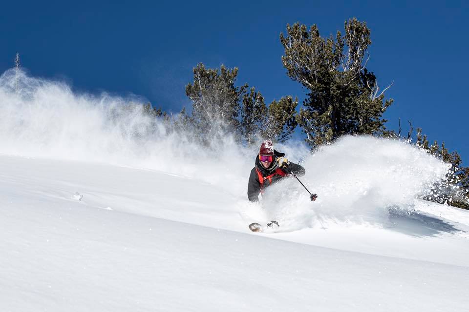 snowbird, deepest snowpacks