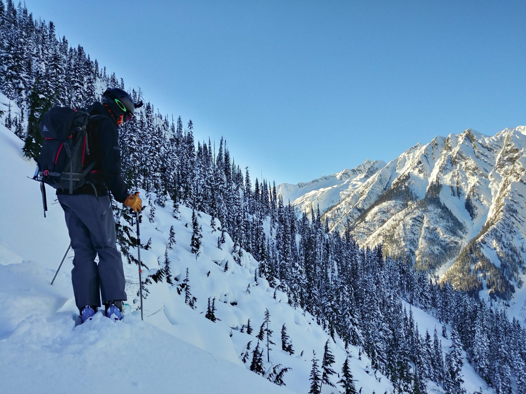 skier looking into the distance