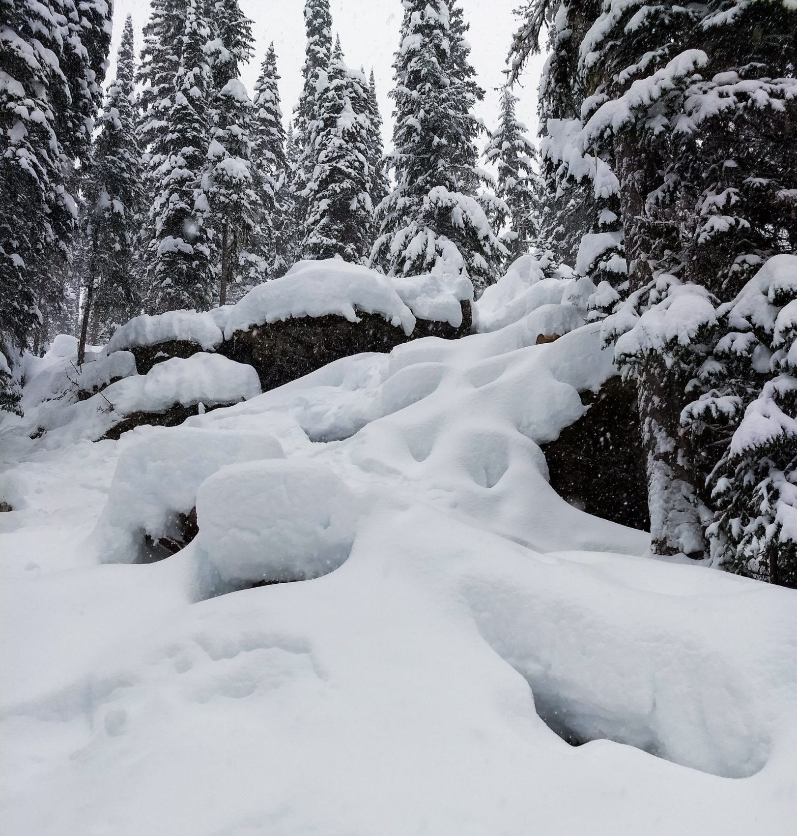 pillow field bc