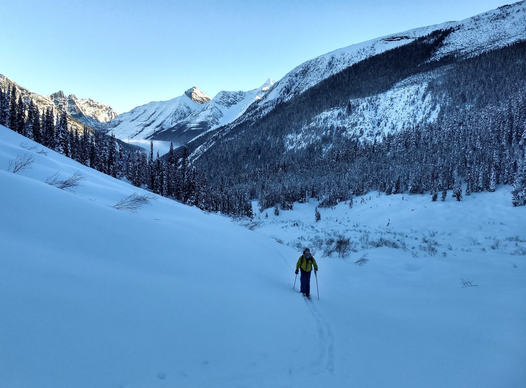 splitboarder climbing ross pass