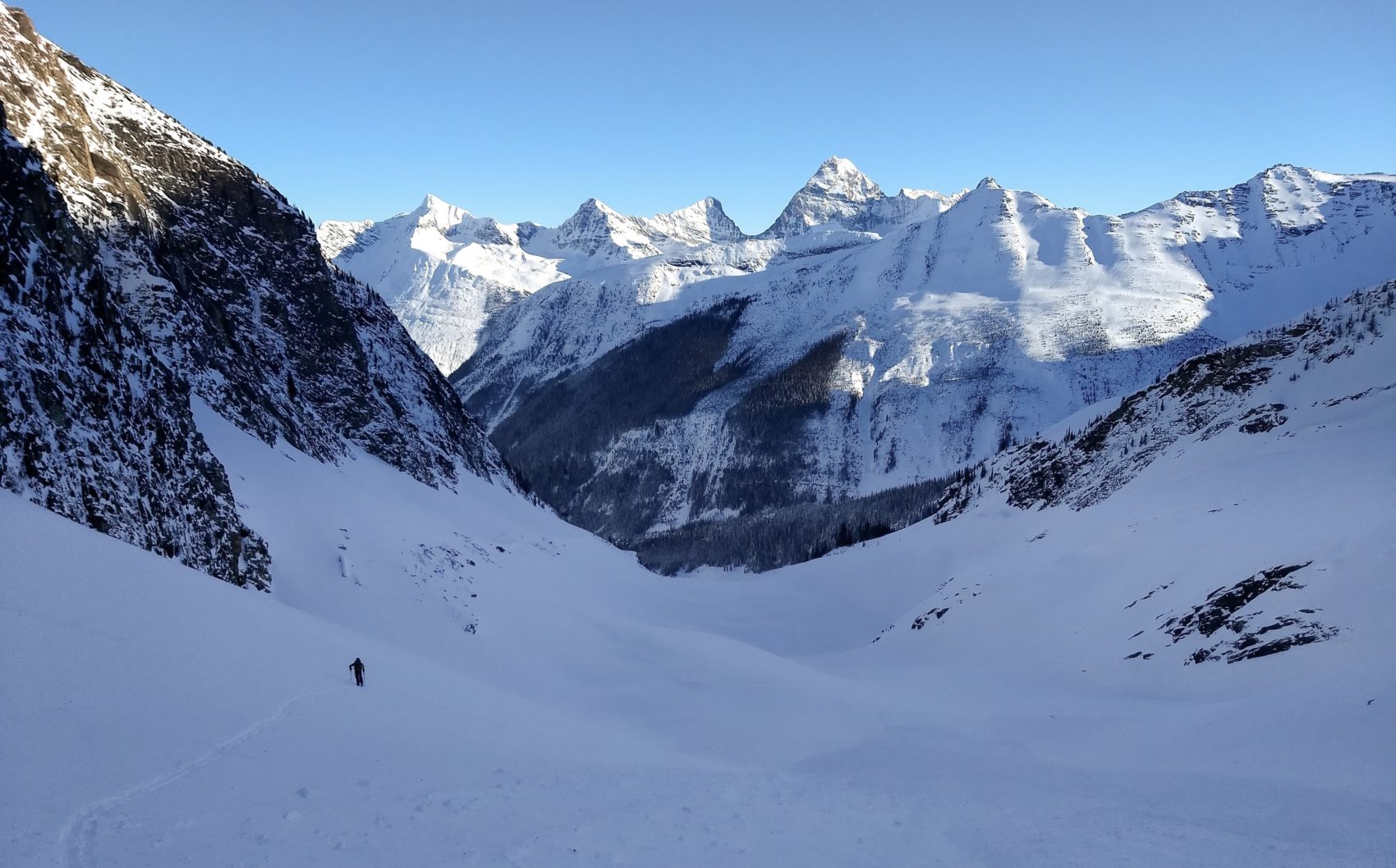 rogers pass landscape