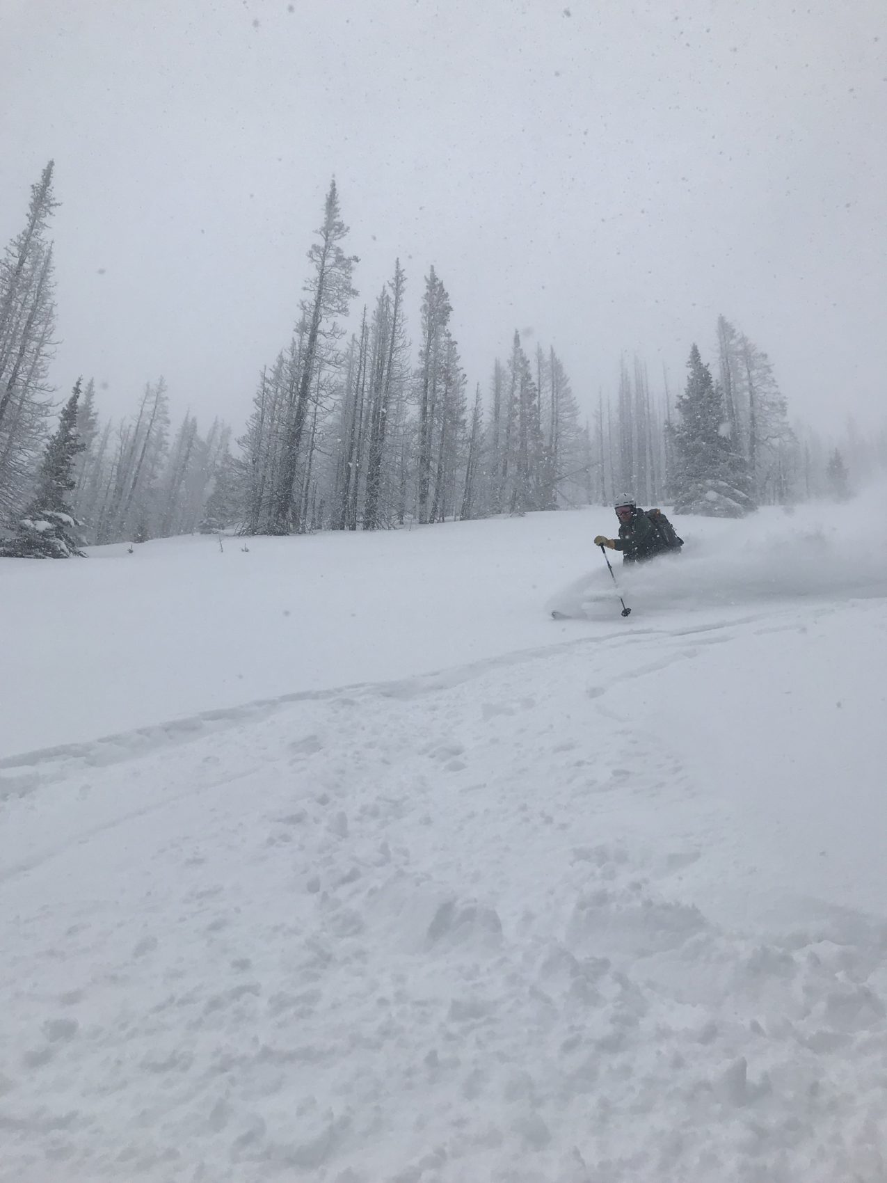 washington, crystal mountain