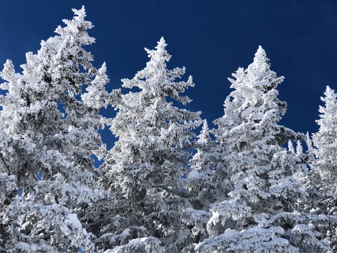 Aspen Highlands