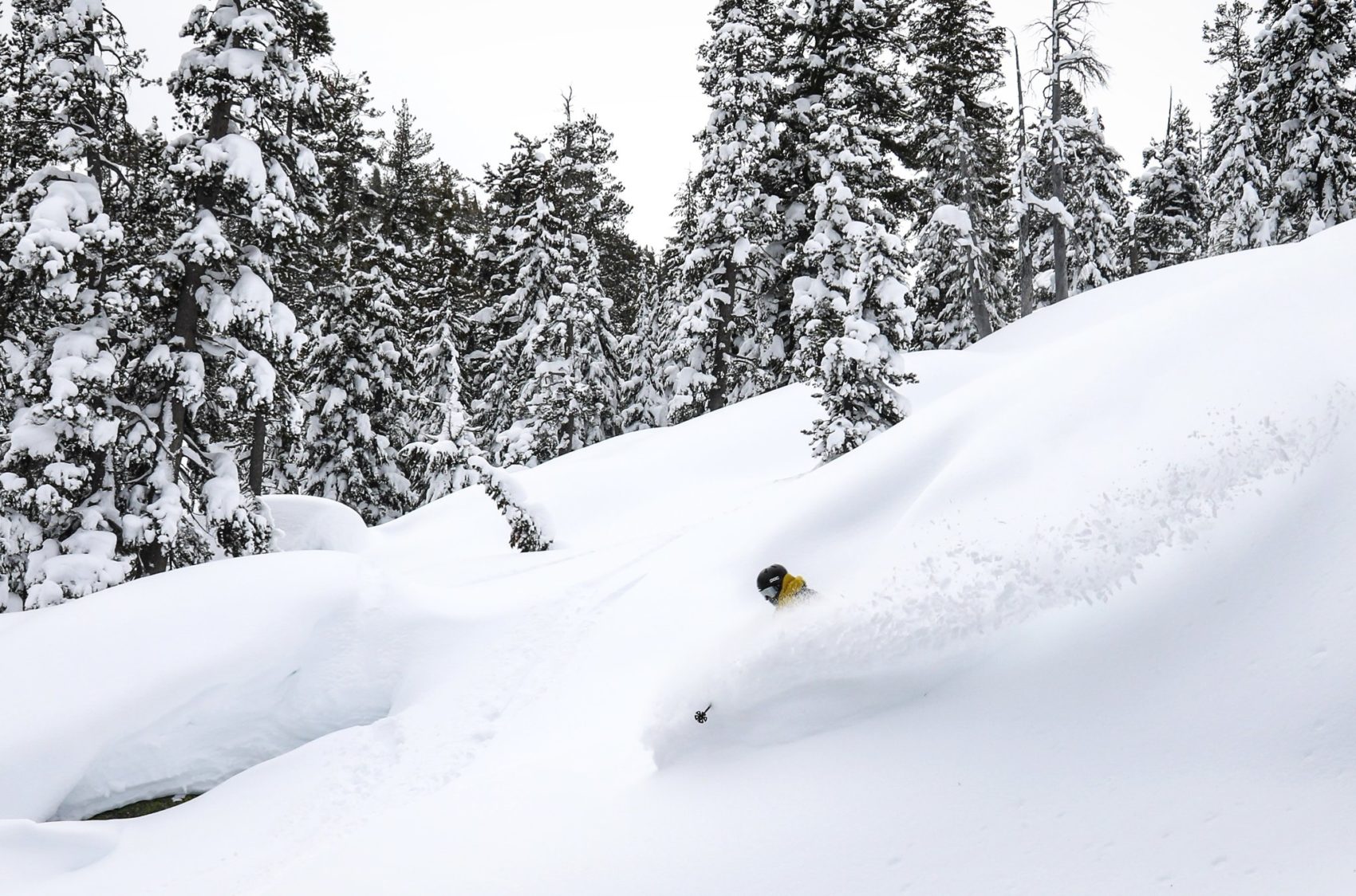 Sierra-at-tahoe, california, snowiest month ever