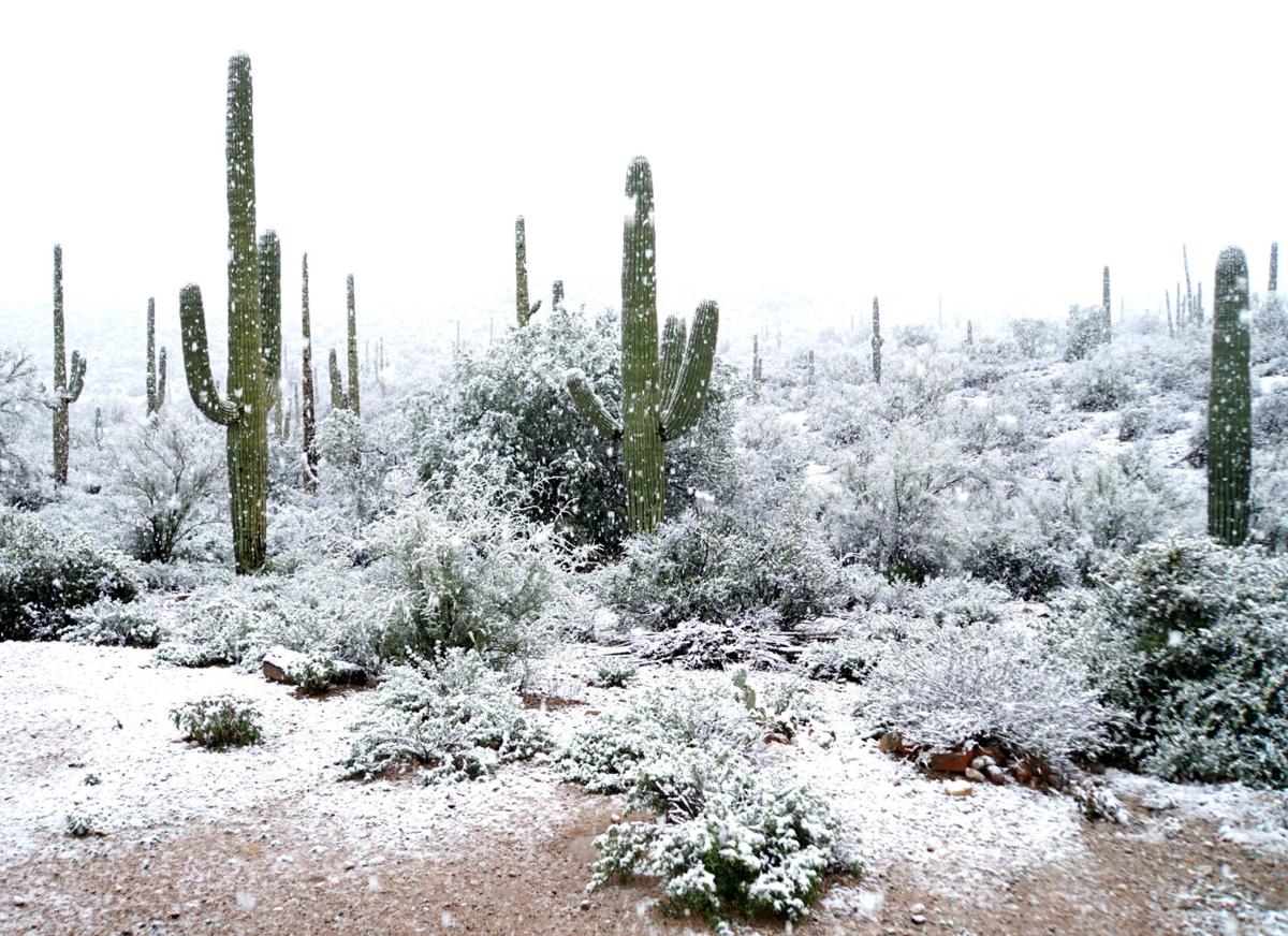 snow, Tucson, arizona