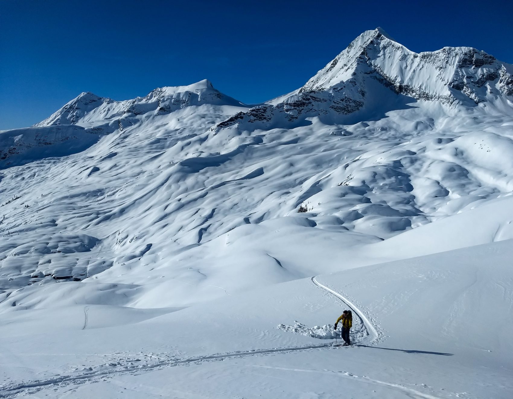 splitboarder with mt sifton and rogers glacier