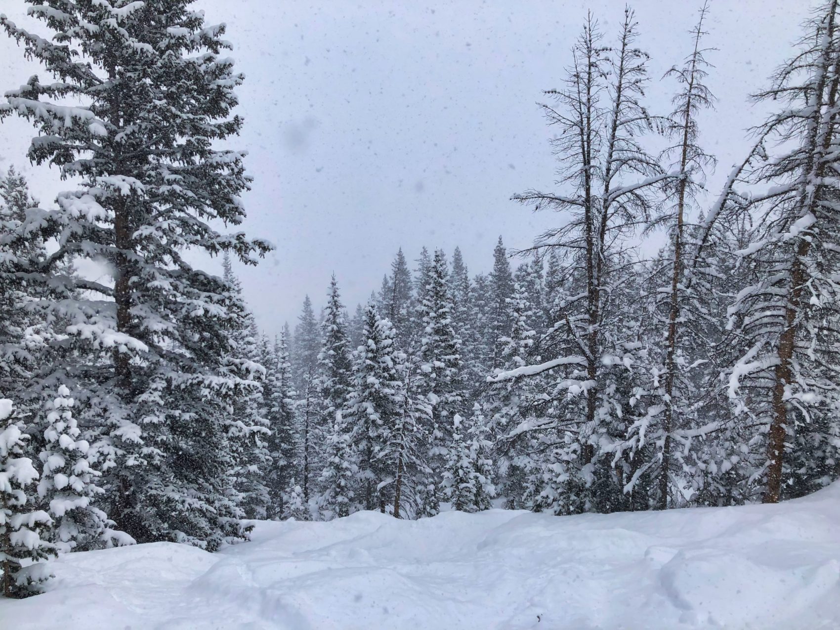 winter park, colorado, powder day