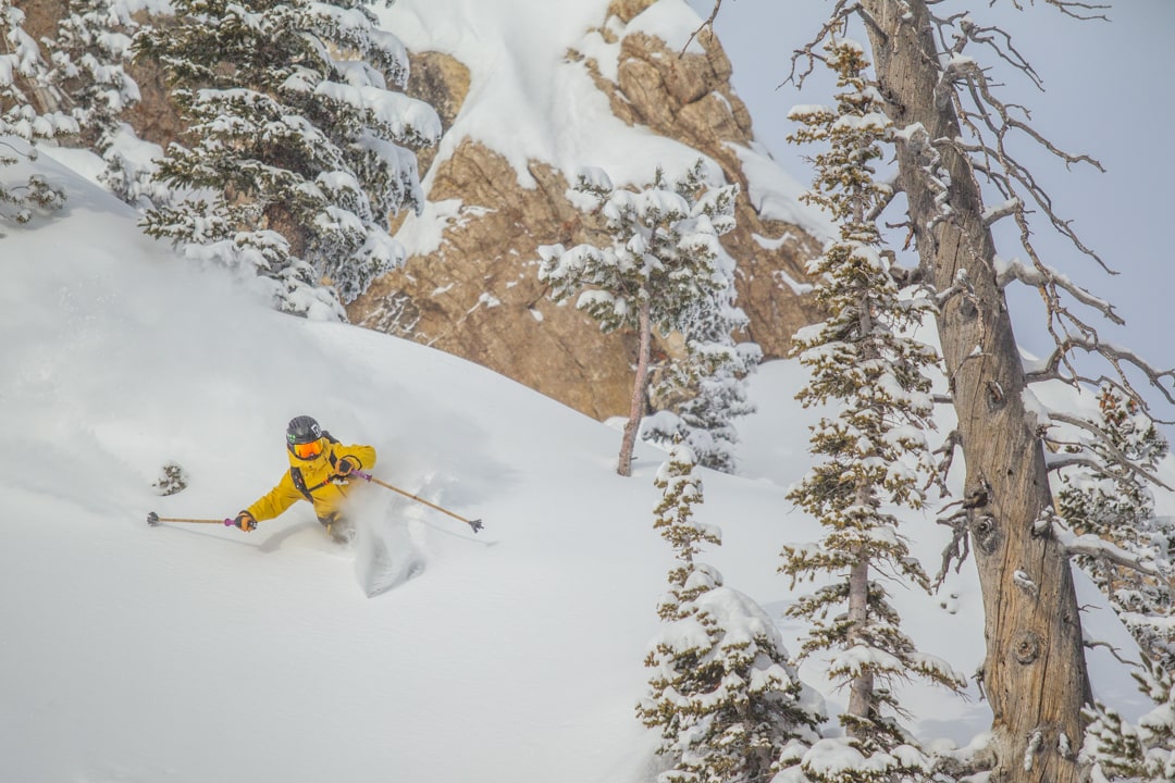 ikon pass, powder days