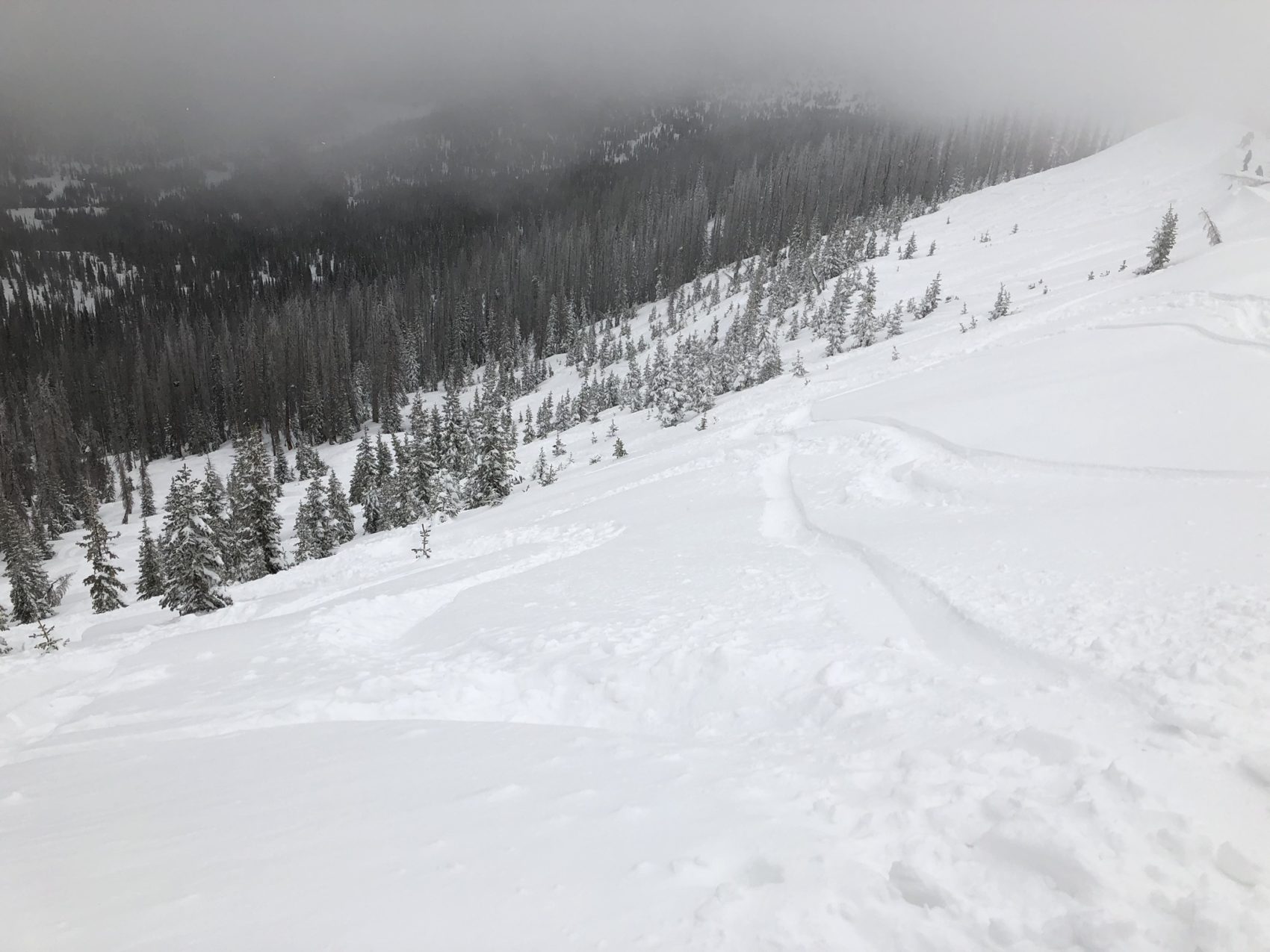 Powder Skiing