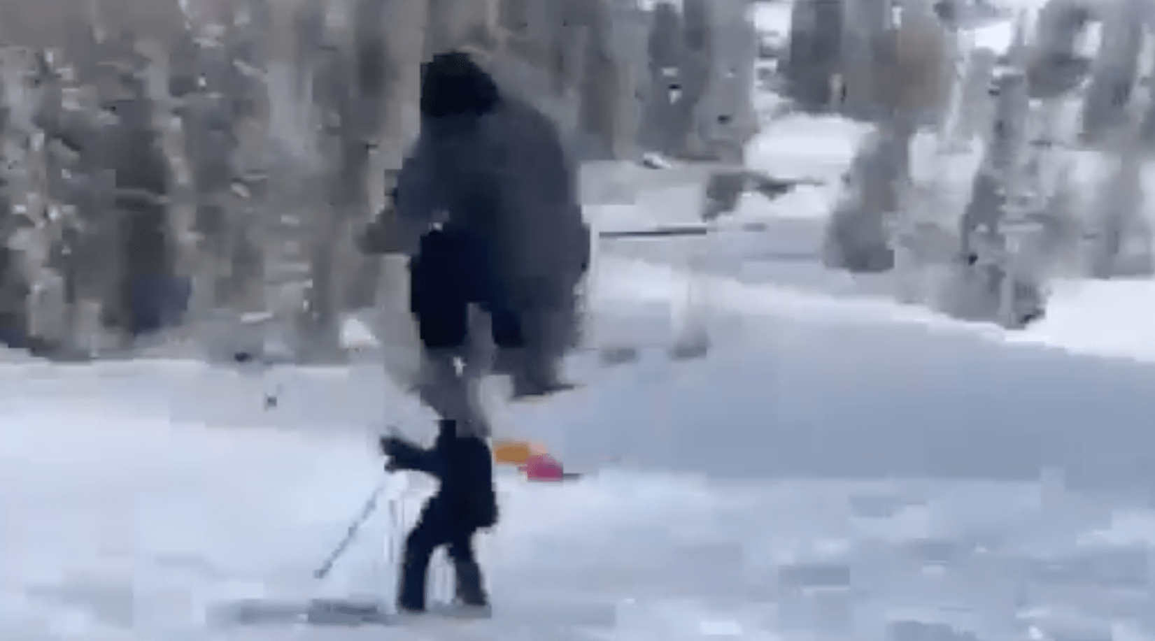 collision, skier, jump, video