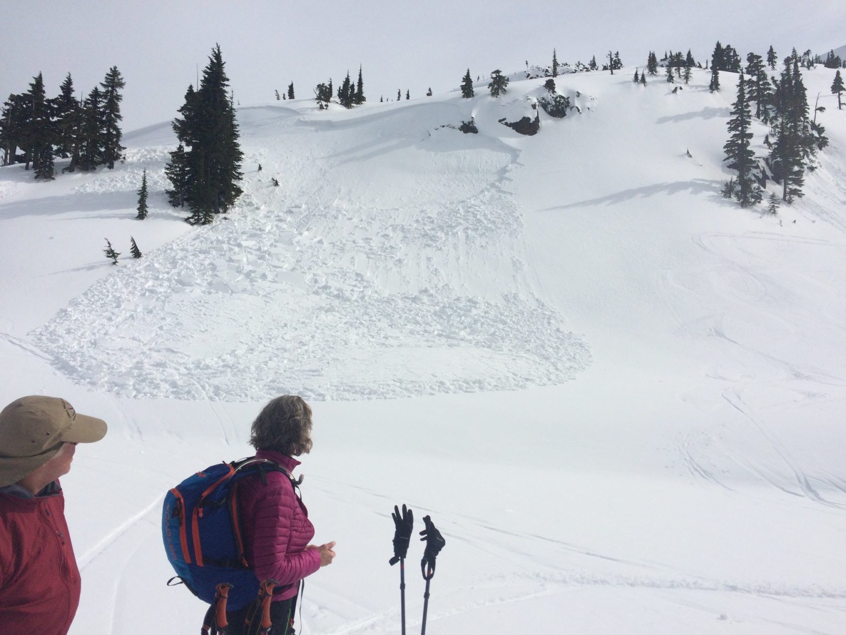 avalanche, British Columbia, Vancouver Island, Canada
