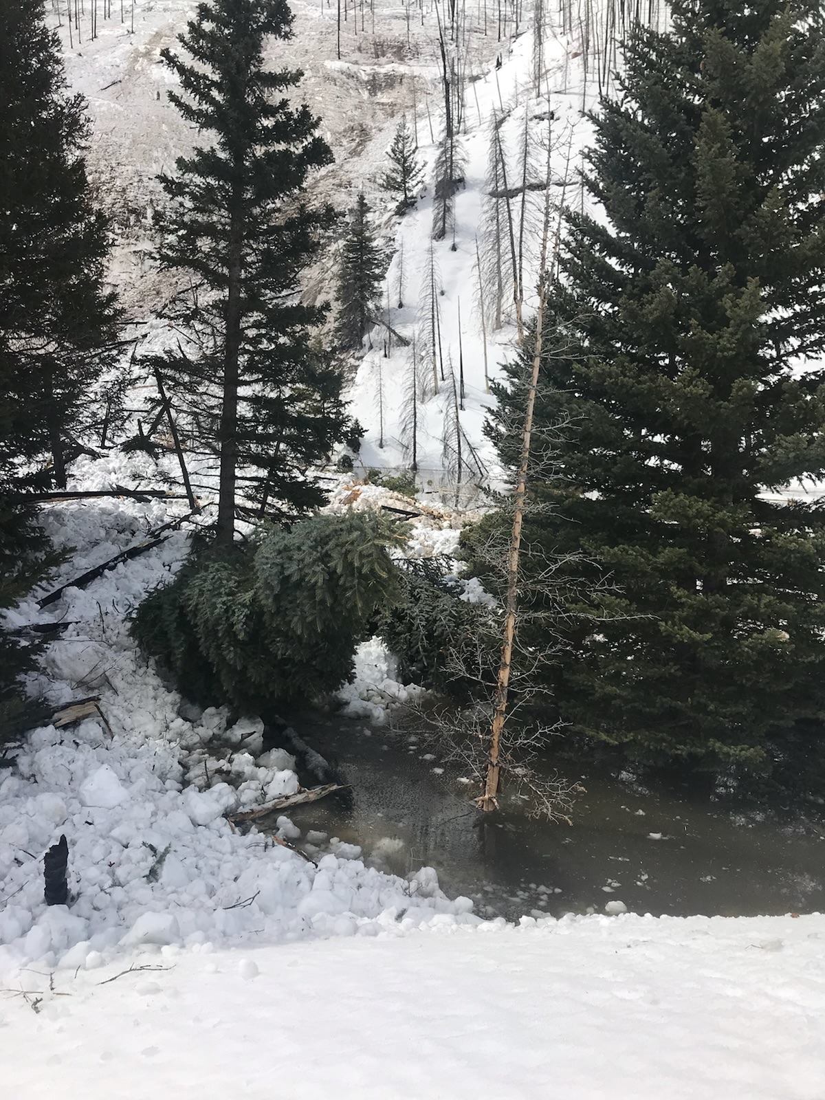 avalanche, utah