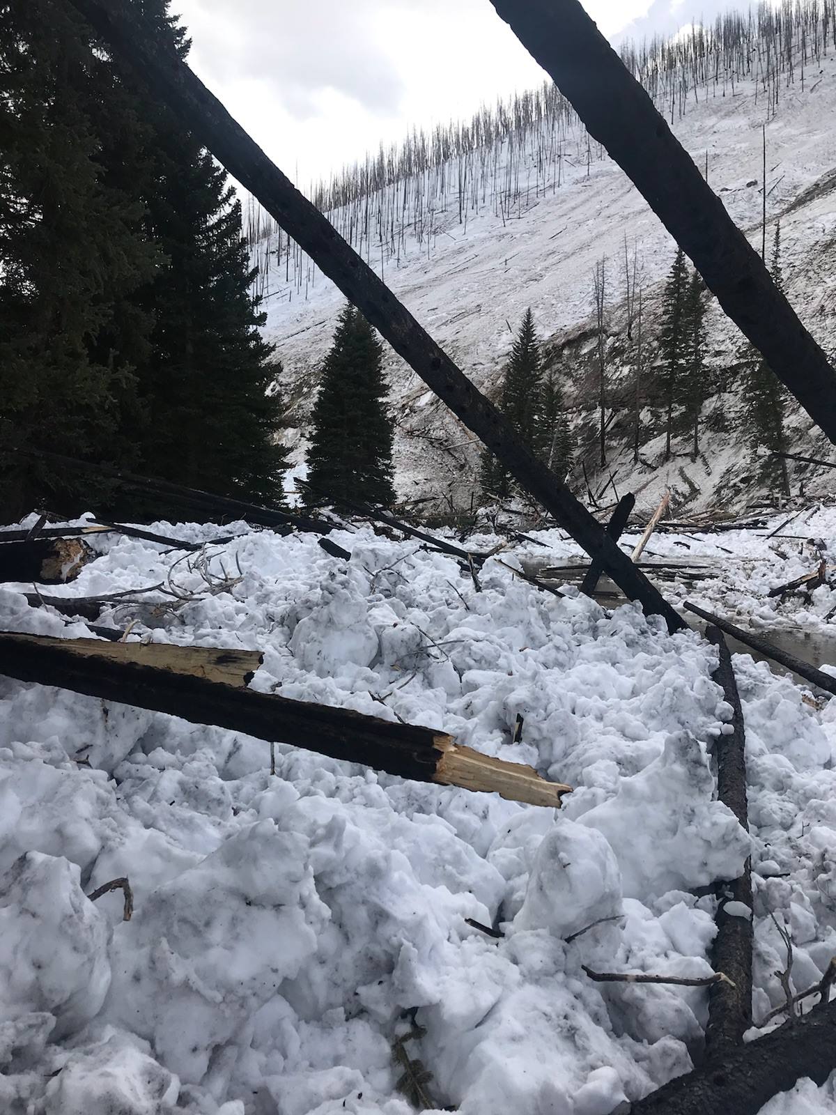 avalanche, utah