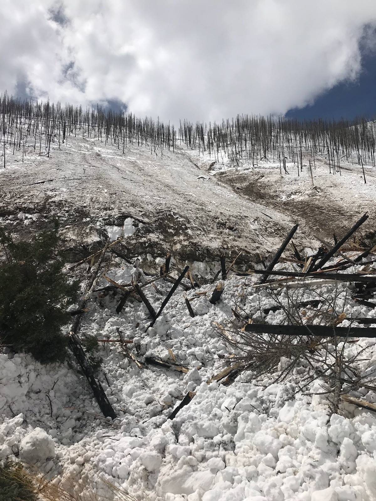 avalanche, utah
