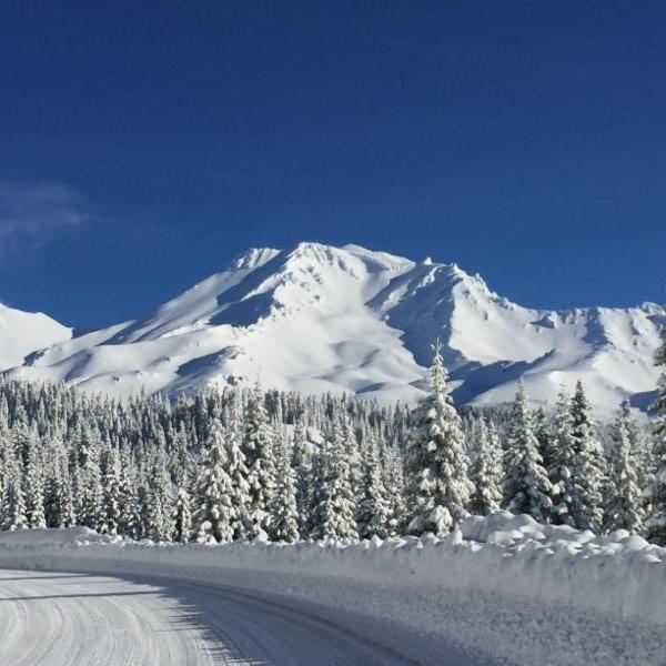 Shasta, california