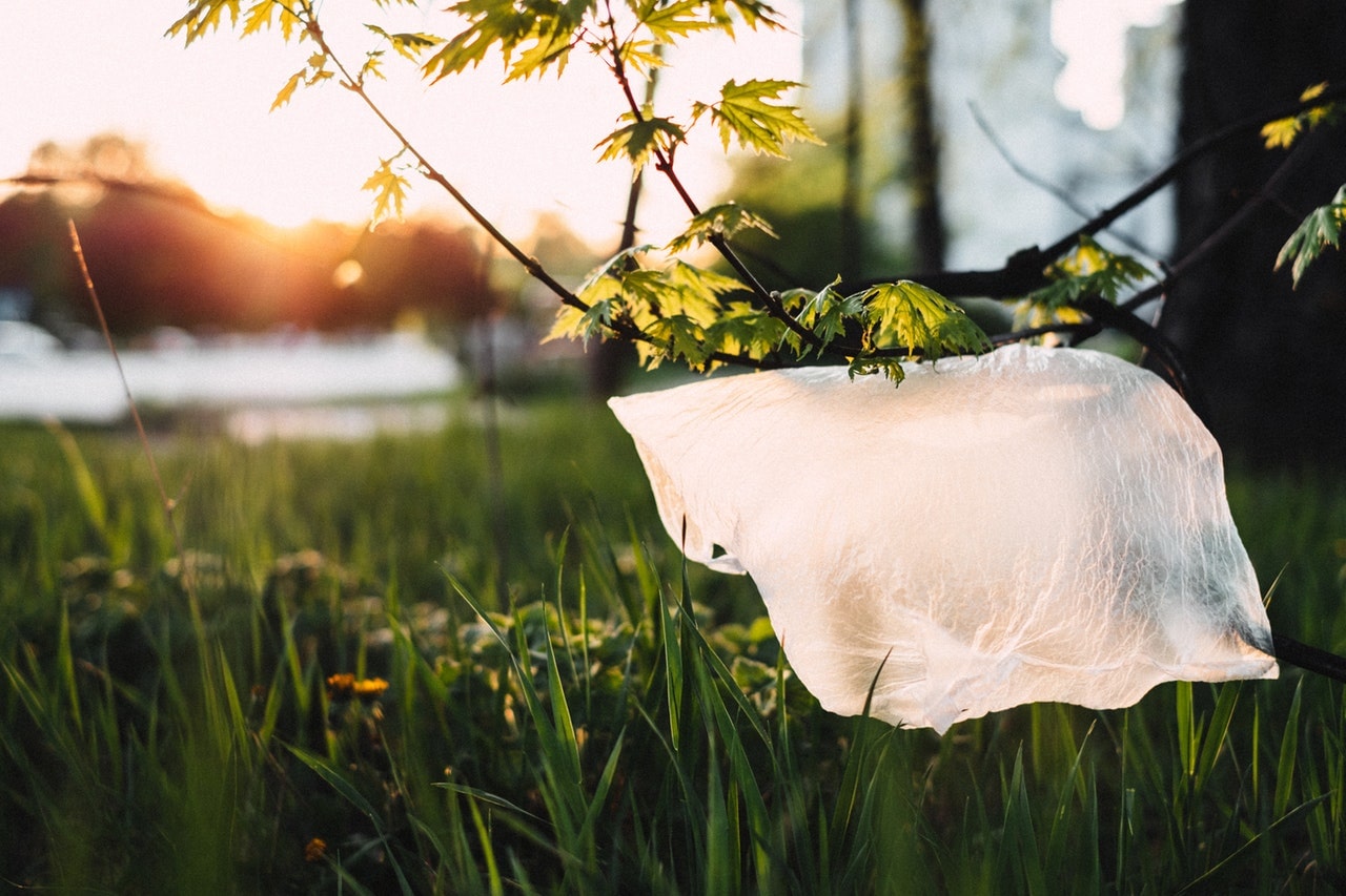 plastic bags, Jackson Hole, wyoming