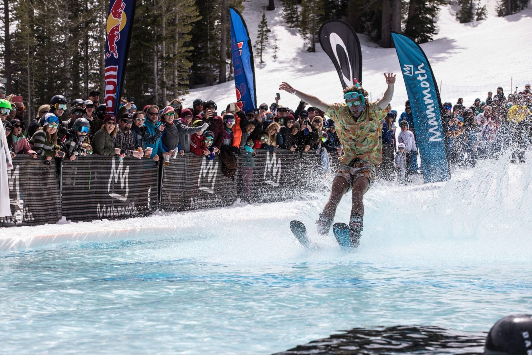 Mammoth 