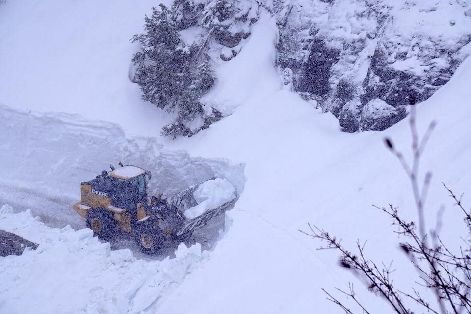 avalanches, bears, going to the sun, glacier national park