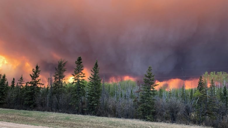 alberta, wildfire, canada, high level, state emergency, evacuation