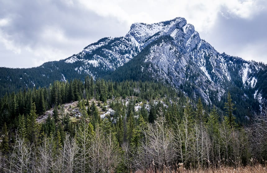 heart mountain, Alberta, canada, hiker fell