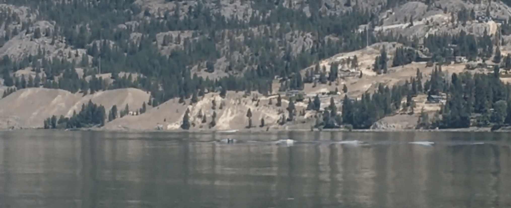 ogopogo, monster, canada, British Columbia, lake