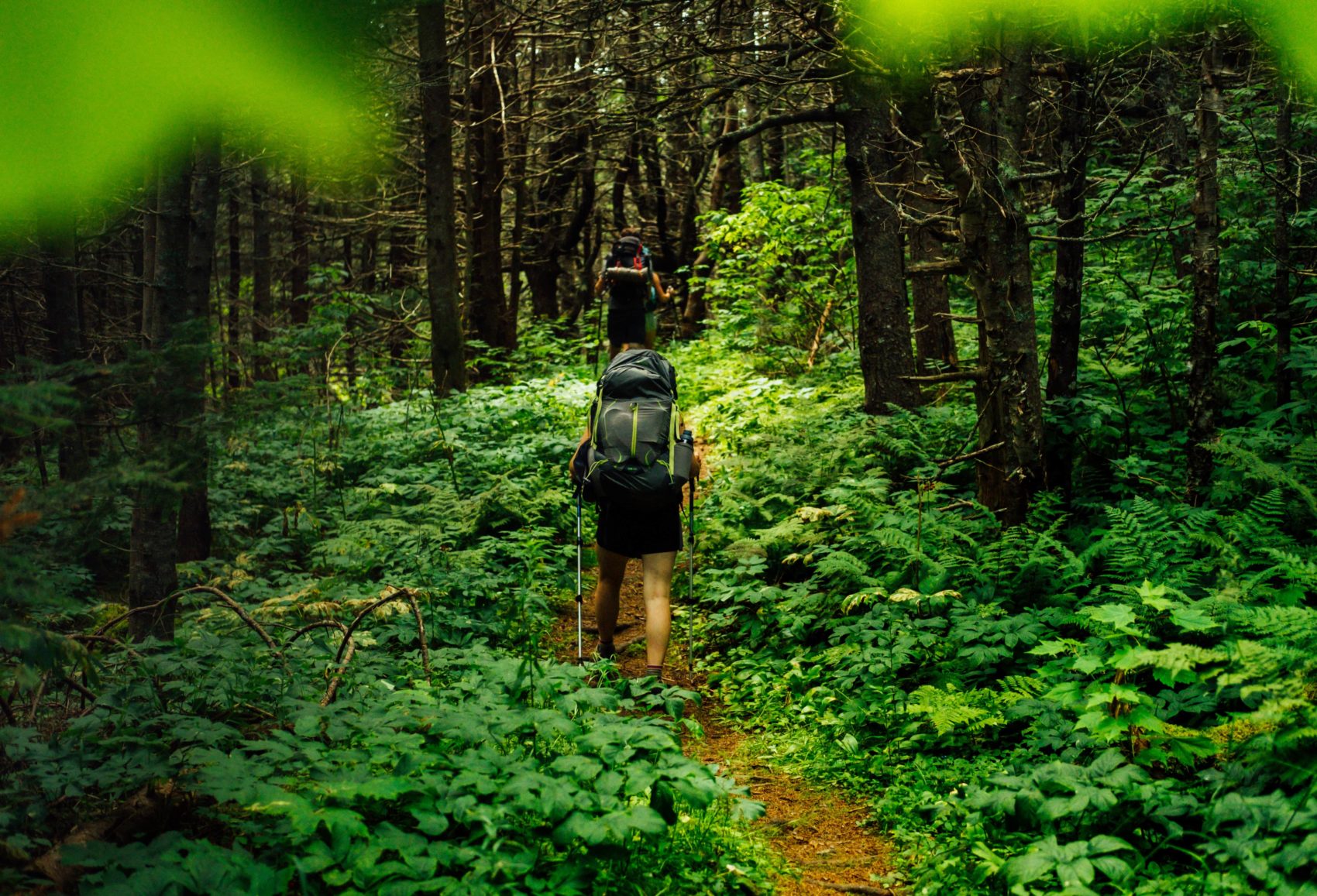 Appalachian Trail