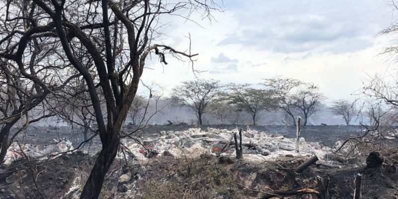 Hawaii Fire, marijuana