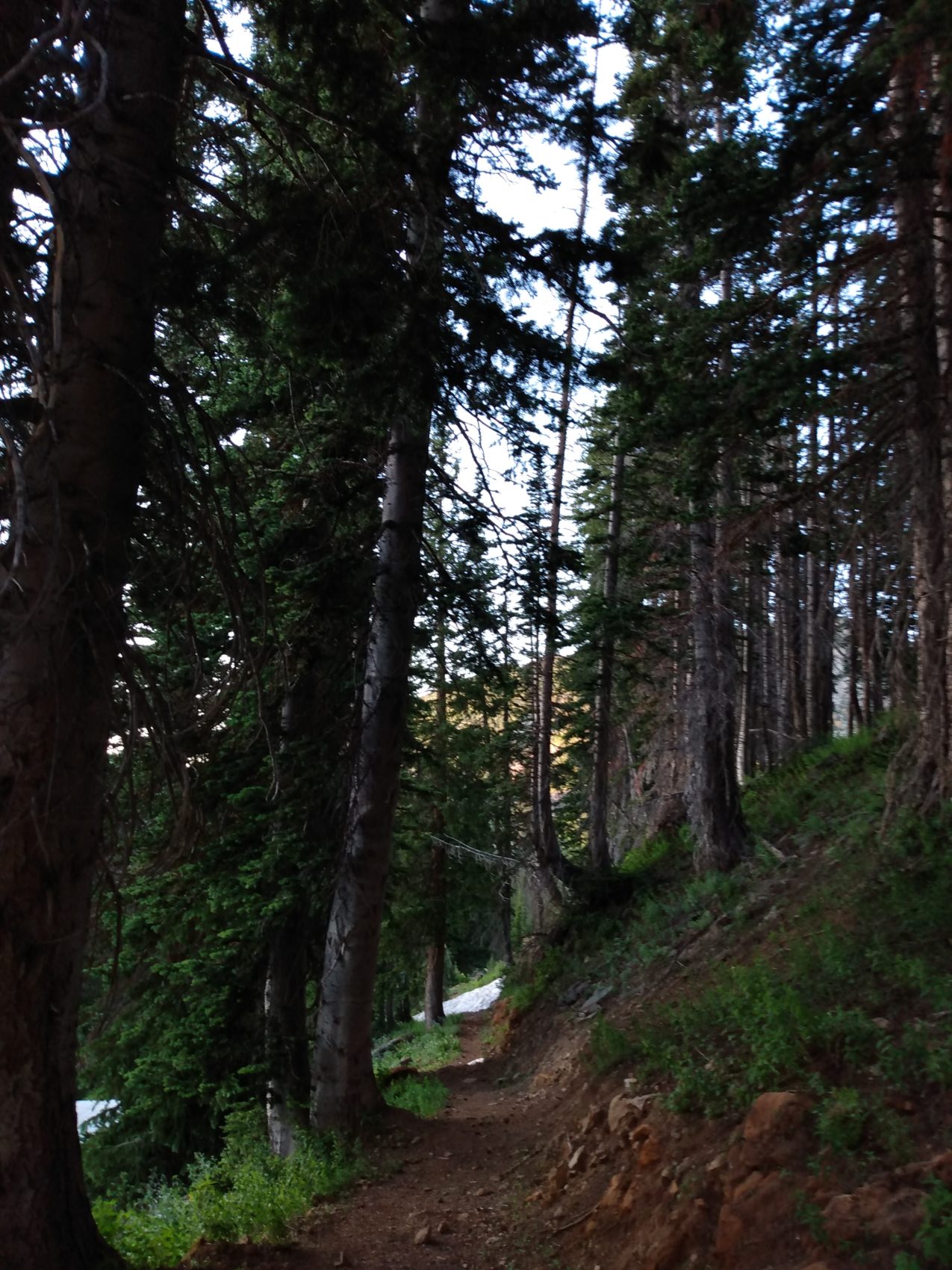 Alta Ski Area in the Summer