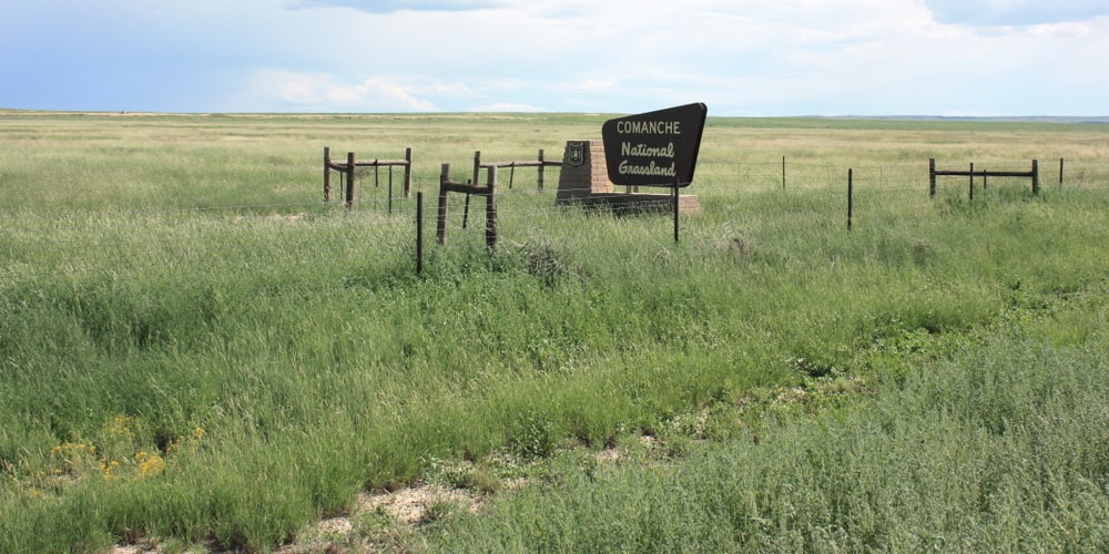 Comanche, Colorado Taraun